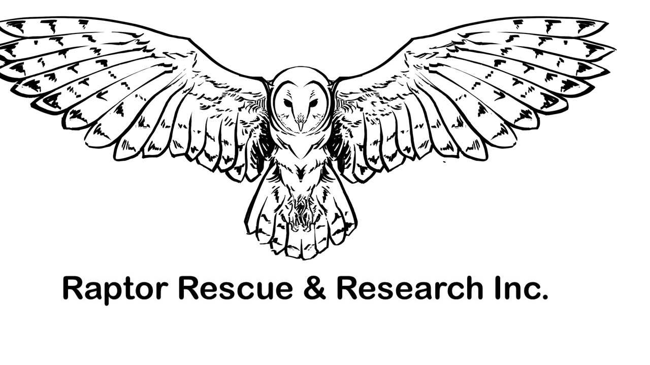 Non-Profit Image